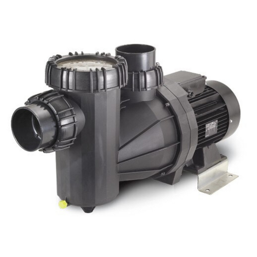 Speck Model 95 Swimming Pool Pump thumbnail